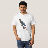 アカエリシトド Tシャツ (正面フル)