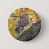 アカオアシカのボタン 缶バッジ (正面)