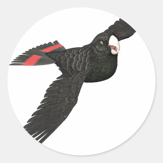 アカオウオ ラウンドシール (正面)