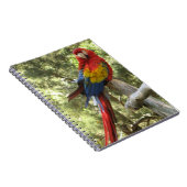 アカオウムカラフル鳥 ノートブック (右側)