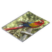 アカオウムカラフル鳥 ノートブック (左側)