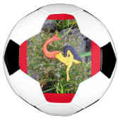 アカオシレナの人魚 サッカーボール (回転)