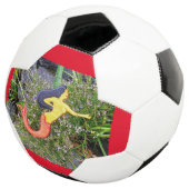 アカオシレナの人魚 サッカーボール (3/4)