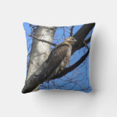 アカオタカ装飾用クッション クッション (裏面)