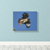 アカオタカ キャンバスプリント (インサイチュ (ウッドフロア))