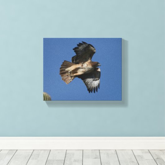 アカオタカ キャンバスプリント (インサイチュ (ウッドフロア))