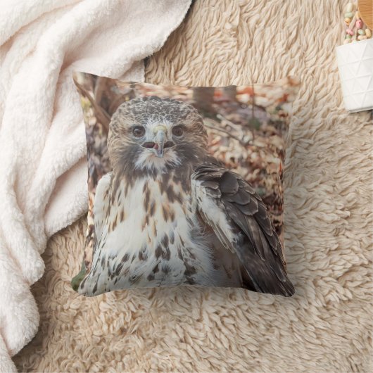 アカオタカ クッション (ブランケット)