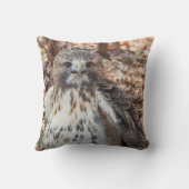 アカオタカ クッション (裏面)