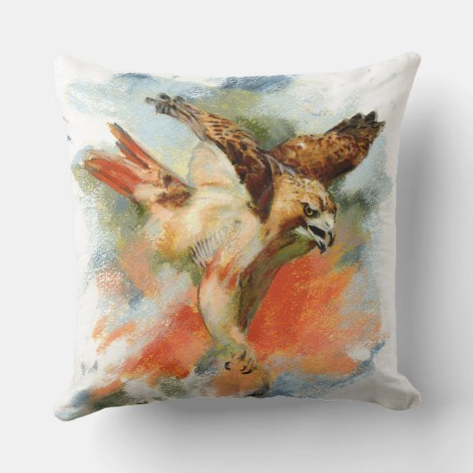 アカオタカ クッション (裏面)