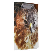 アカオタカ クリップボード (右)