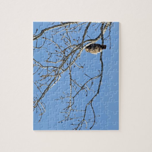 アカオタカ ジグソーパズル (縦)