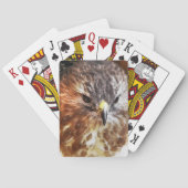 アカオタカ トランプ (裏面)