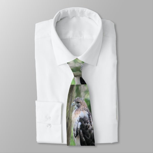 アカオタカ ネクタイ (タイ)