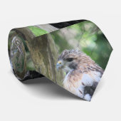 アカオタカ ネクタイ (ロール)