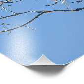 アカオタカ フォトプリント            (角)