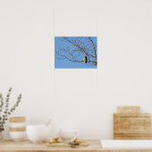 アカオタカ ポスター (キッチン)