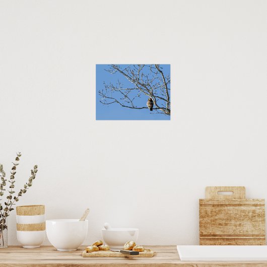 アカオタカ ポスター (キッチン)