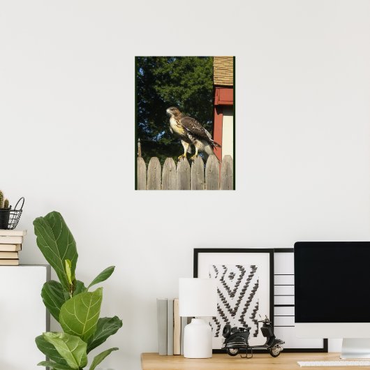 アカオタカ ポスター (ホームオフィス)