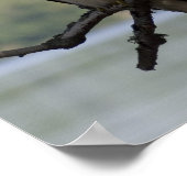 アカオタカ ポスター (角)