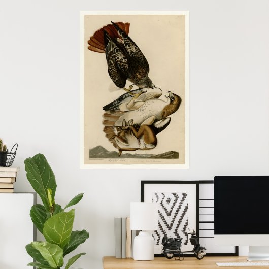 アカオタカ ポスター (ホームオフィス)