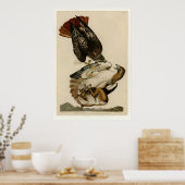 アカオタカ ポスター (キッチン)