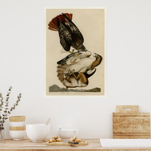 アカオタカ ポスター (キッチン)