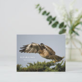 アカオタカ ポストカード (スタンド正面)