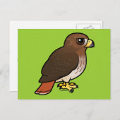 アカオタカ ポストカード (正面/裏面)