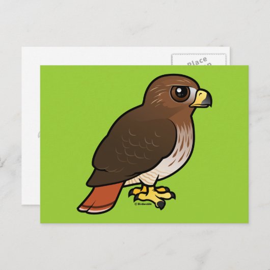 アカオタカ ポストカード (正面/裏面)