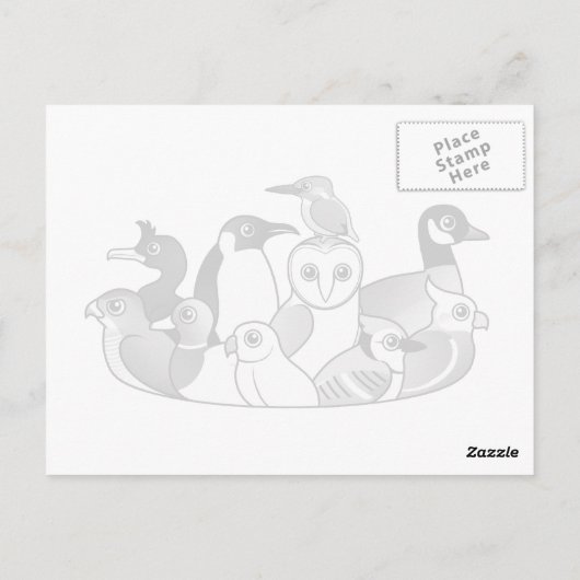 アカオタカ ポストカード (裏面)