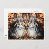 アカオタカ ポストカード (正面/裏面)