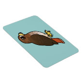 アカオタカ マグネット (右側)