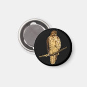 アカオタカ マグネット (正面/裏面)