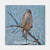 アカオタカ マグネット (正面)