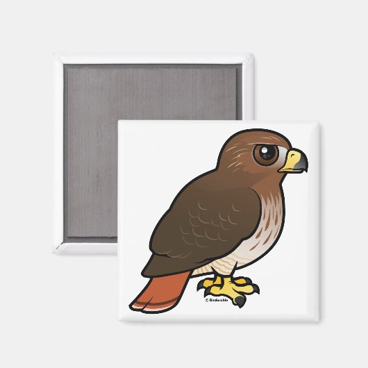 アカオタカ マグネット (正面/裏面)