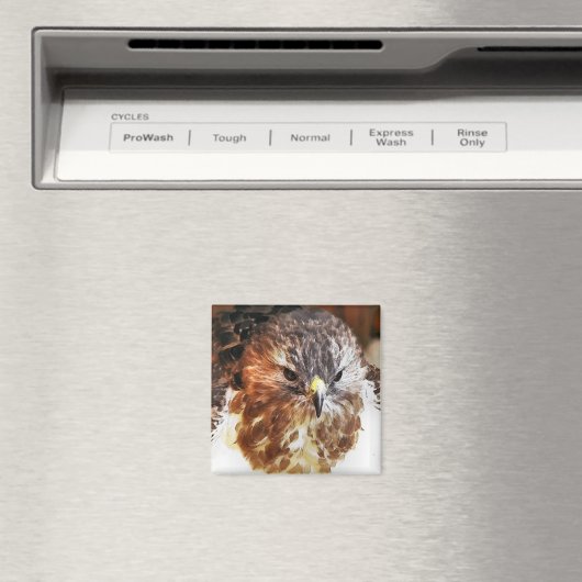 アカオタカ マグネット (インサイチュ (食洗機))