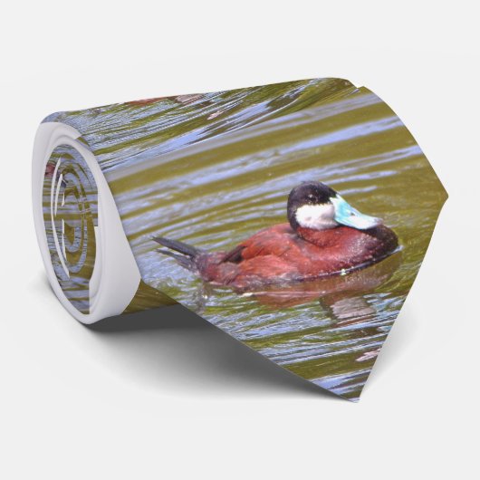 アカオタテガモ… ネクタイ (ロール)