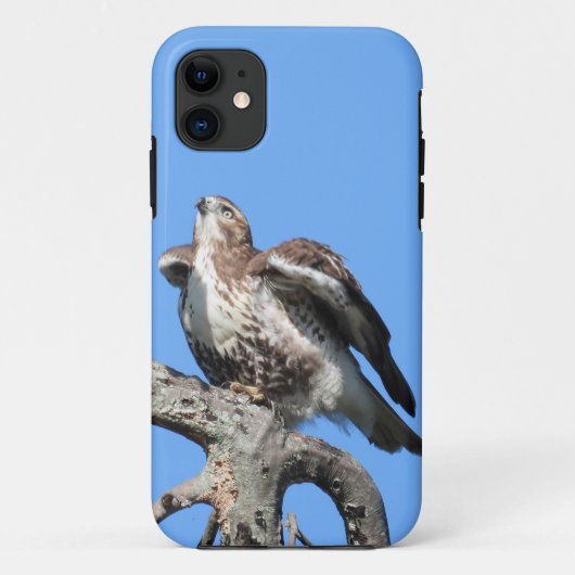 アカオノスリの幼鳥 Case-Mate iPhoneケース (裏面)