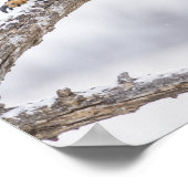 アカオノスリの枝上での静止 野生の壁アート ポスター (角)