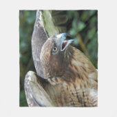 アカオノスリの猛禽類の写真 フリースブランケット (正面)