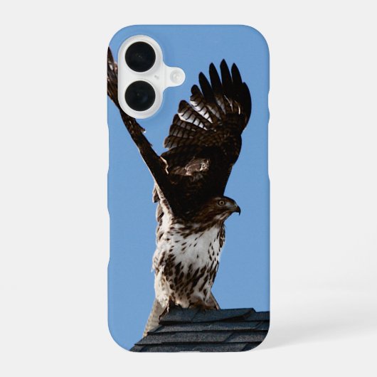 アカオノスリ翼を上げた野生の鳥の写真 iPhone 16ケース (裏面)