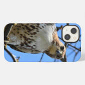 アカオノスリ、Apple iPhone 13 カバー (裏面横)
