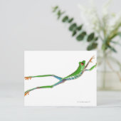 アカガエルのジャンプ ポストカード (スタンド正面)