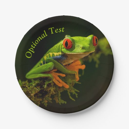 アカガエルの接写#1 ペーパープレート (正面)