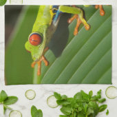 アカガエル キッチンタオル (折り畳み)