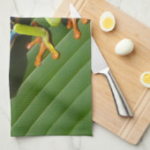 アカガエル キッチンタオル (四つ折り)