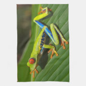 アカガエル キッチンタオル (縦)