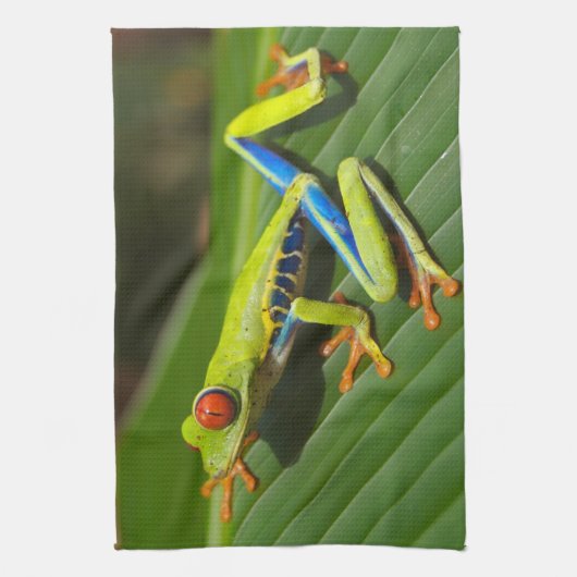 アカガエル キッチンタオル (縦)