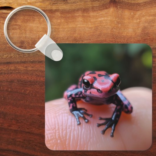 アカガエル キーホルダー (正面)