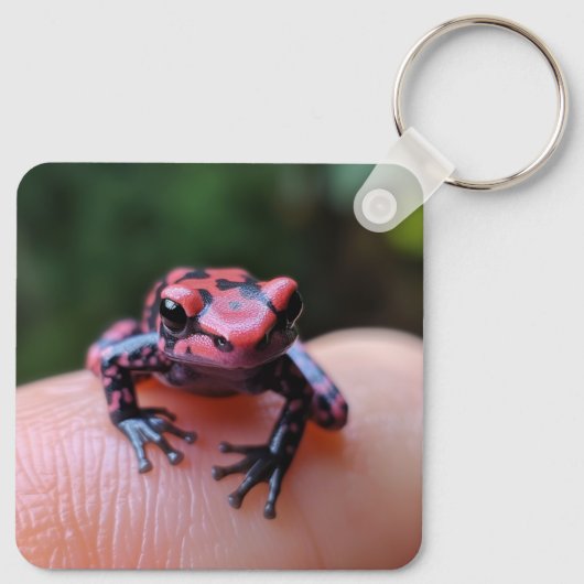 アカガエル キーホルダー (裏面)